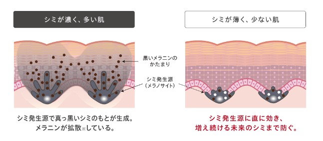 メラノショット W 効果